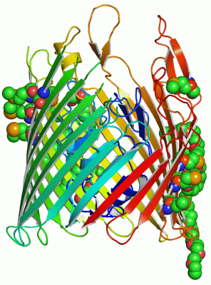 Image Asym./Biol. Unit - manually