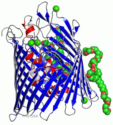 Image Asym./Biol. Unit - manually