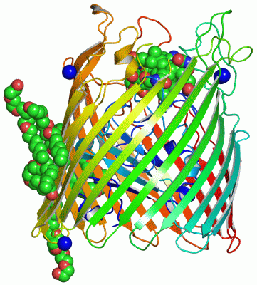 Image Asym./Biol. Unit - manually