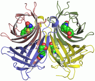 Image Asym./Biol. Unit - manually