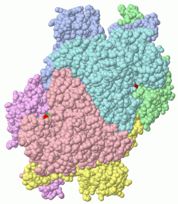 Image Biol.Unit 1 - manually