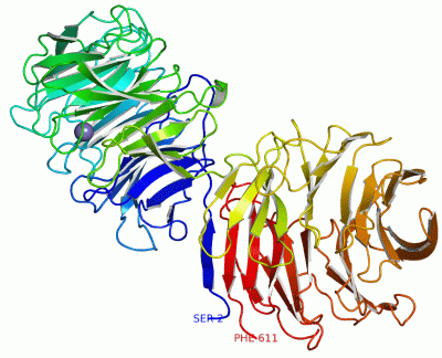 Image Asym./Biol. Unit - manually