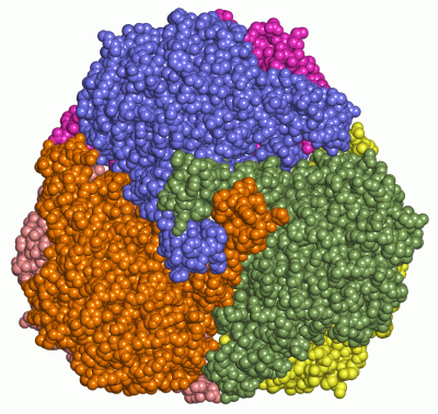 Image Asym./Biol. Unit - manually