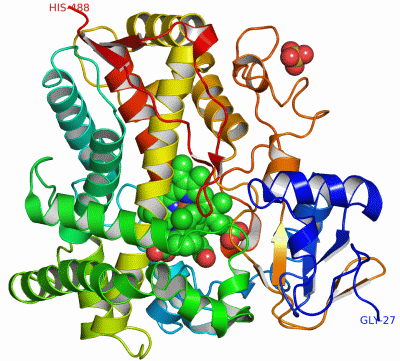 Image Asym./Biol. Unit - manually