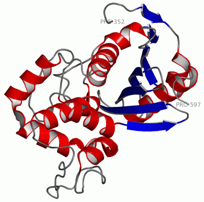 Image Asym./Biol. Unit - manually