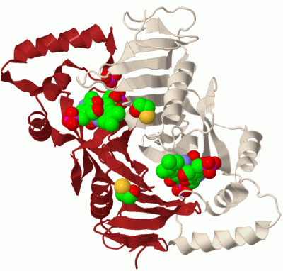 Image Biol.Unit 1 - manually