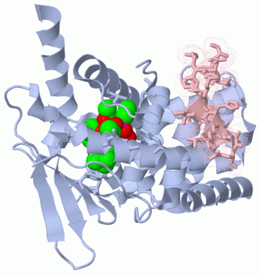 Image Biol.Unit 1 - manually