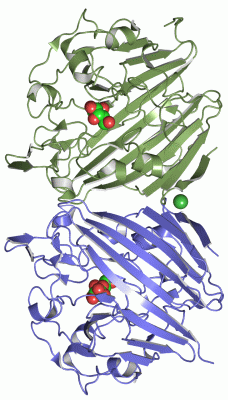 Image Asym./Biol. Unit - manually