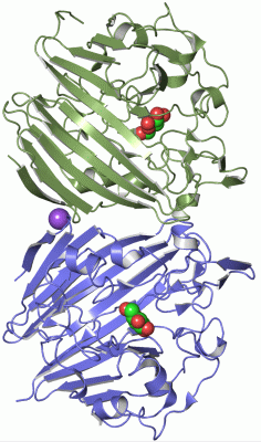 Image Asym./Biol. Unit - manually