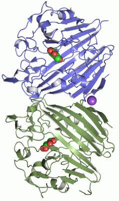 Image Asym./Biol. Unit - manually