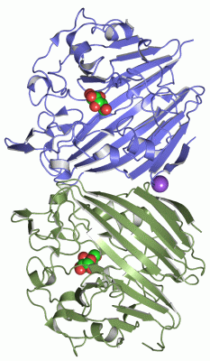 Image Asym./Biol. Unit - manually