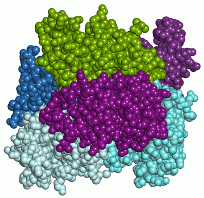 Image Asym./Biol. Unit - manually