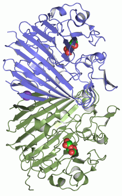 Image Asym./Biol. Unit - manually