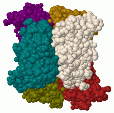 Image Biol.Unit 1 - manually