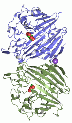 Image Asym./Biol. Unit - manually