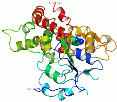 Image Asym./Biol. Unit - manually