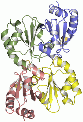 Image Asym./Biol. Unit - manually