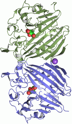 Image Asym./Biol. Unit - manually