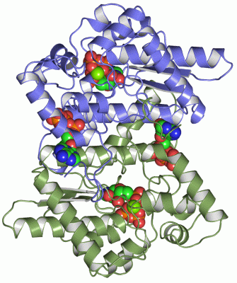 Image Asym./Biol. Unit - manually