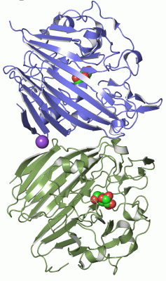 Image Asym./Biol. Unit - manually