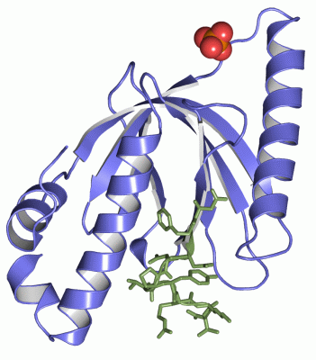 Image Asym./Biol. Unit - manually