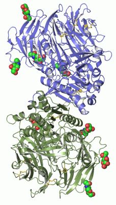 Image Asym./Biol. Unit - manually