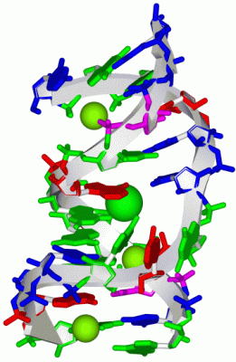 Image Biol.Unit 1 - manually