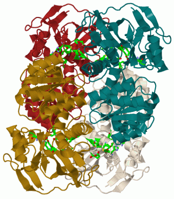 Image Biol.Unit 1 - manually