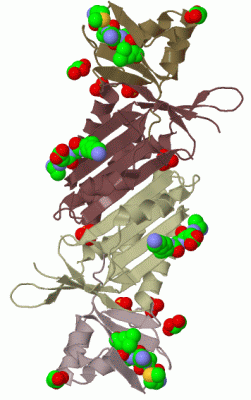 Image Biol.Unit 1 - manually