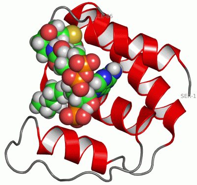 Image NMR Structure - manually