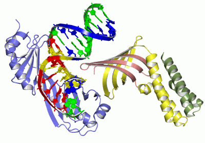 Image Asym./Biol. Unit - manually