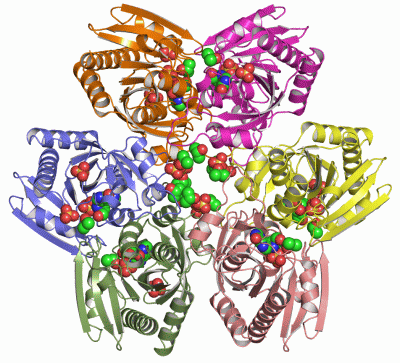 Image Asym.Unit - manually