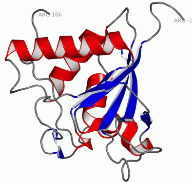 Image Asym./Biol. Unit - manually