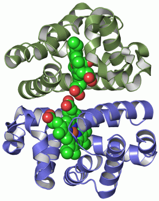 Image Asym./Biol. Unit - manually