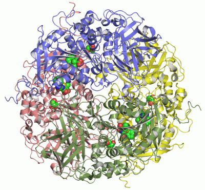 Image Asym./Biol. Unit - manually