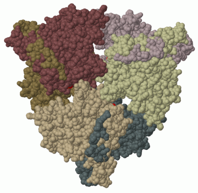 Image Biol.Unit 1 - manually