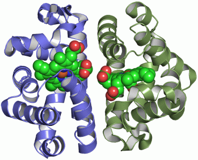 Image Asym./Biol. Unit - manually