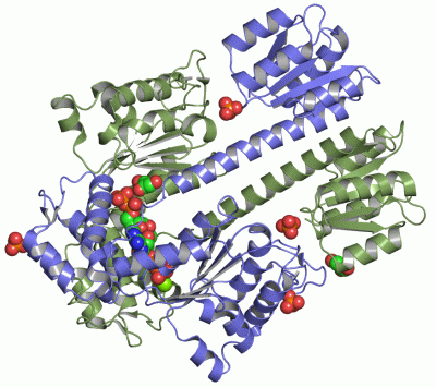 Image Asym./Biol. Unit - manually
