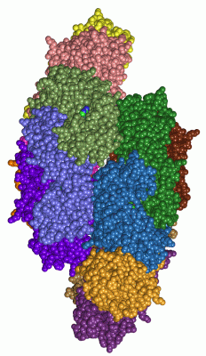Image Asym.Unit - manually