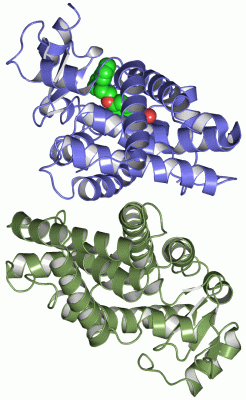 Image Asym./Biol. Unit - manually