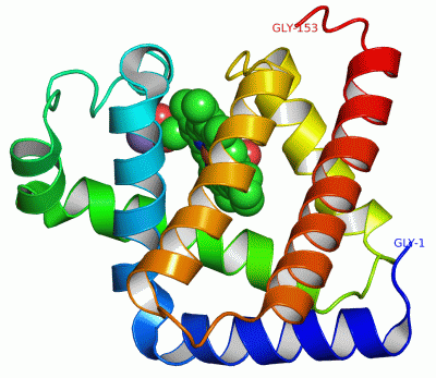 Image Asym./Biol. Unit - manually