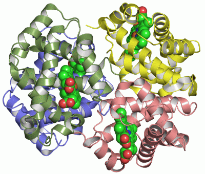 Image Asym./Biol. Unit - manually