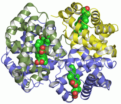 Image Asym./Biol. Unit - manually