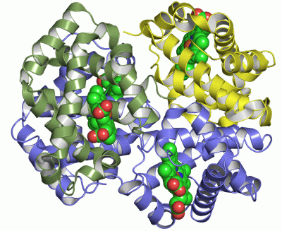 Image Asym./Biol. Unit - manually