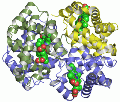 Image Asym./Biol. Unit - manually