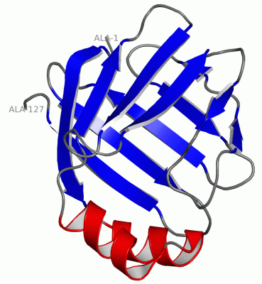 Image NMR Structure - manually