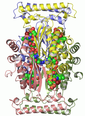 Image Asym./Biol. Unit - manually