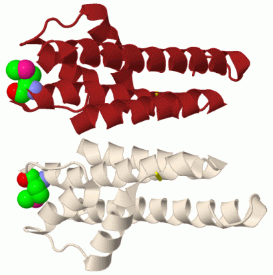 Image Biol.Unit 1 - manually