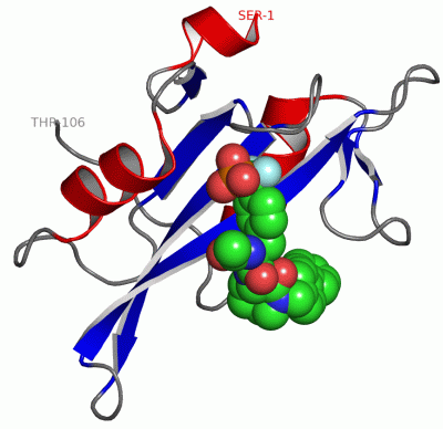 Image Asym./Biol. Unit - manually
