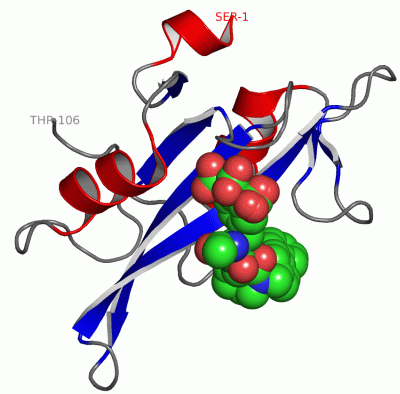 Image Asym./Biol. Unit - manually